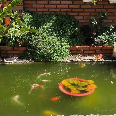 Rose House Apartment ดาลัด ภายนอก รูปภาพ