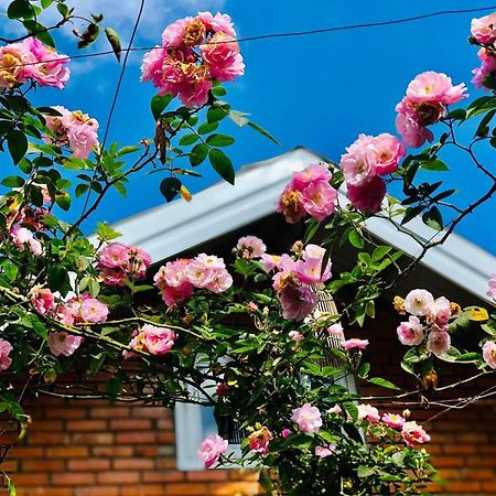 Rose House Apartment ดาลัด ภายนอก รูปภาพ