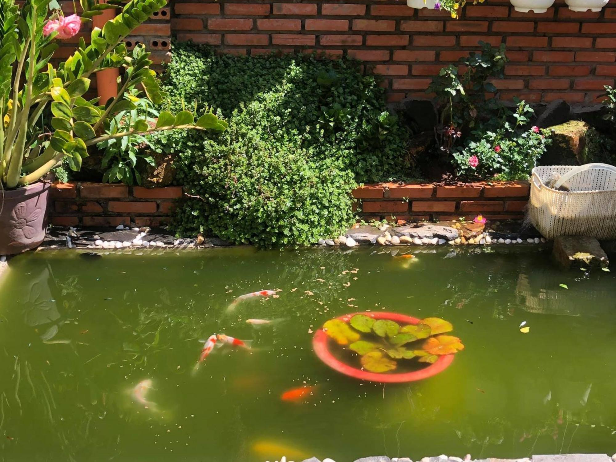 Rose House Apartment ดาลัด ภายนอก รูปภาพ